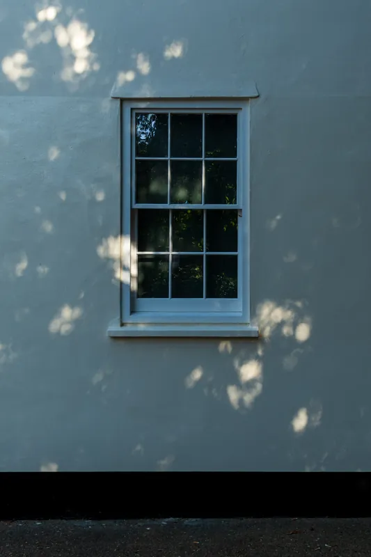 Dappling, Canterbury. 2024.